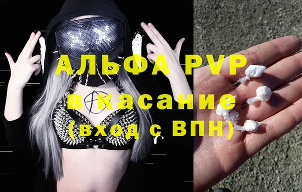 меф Арсеньев