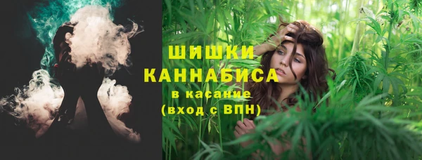 ешки Алексеевка
