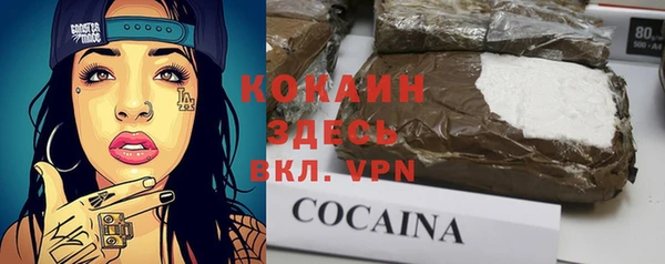 ешки Алексеевка