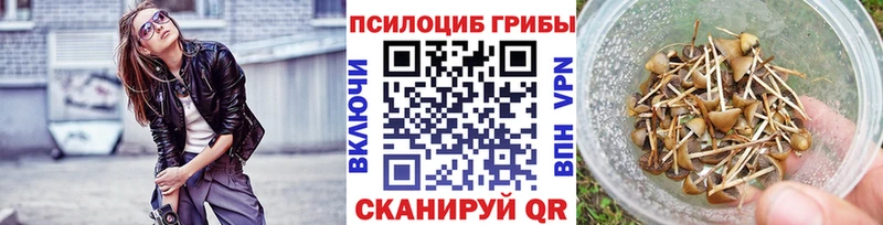 Галлюциногенные грибы GOLDEN TEACHER  Аркадак 